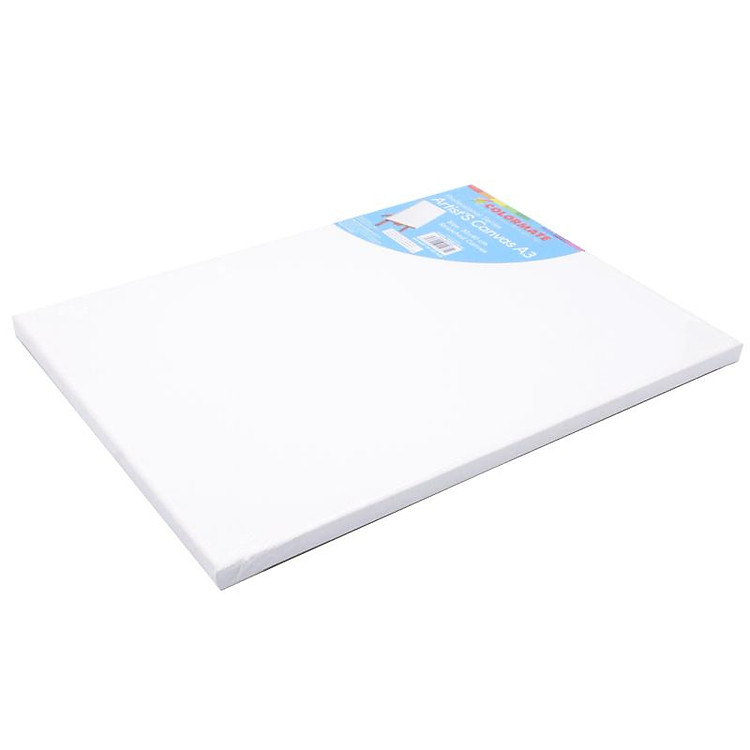Khung Tranh Vải A3 Artist's Canvas Colormate MS-CA03 - Ảnh 5