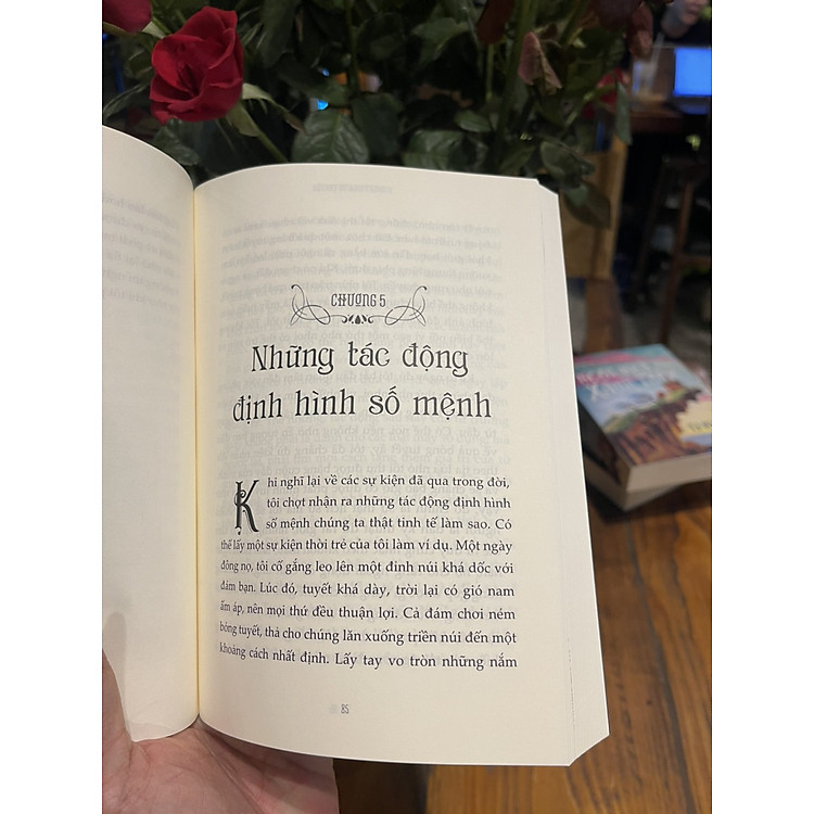 NICOLA TESLA TỰ TRUYỆN – Nikola Tesla - Ảnh 3