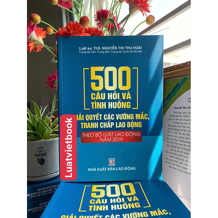 500 Câu Hỏi Và Tình Huống Giải Các Vướng Mắc Tranh Chấp Lao Động Theo Bộ Luật Lao Động Năm 2019 - Ảnh 2