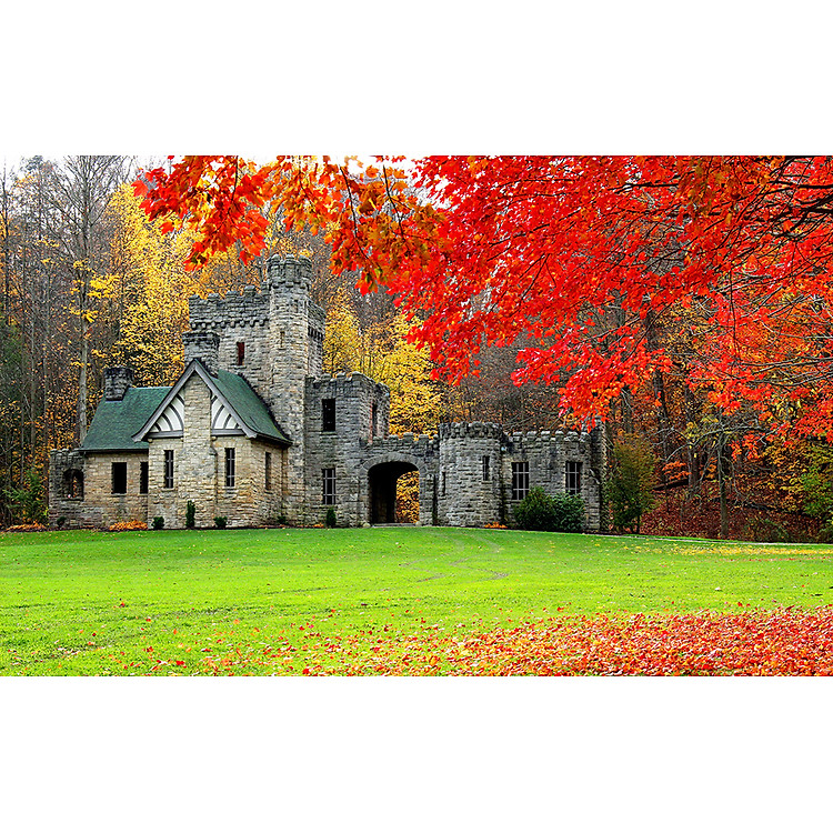 Bộ tranh xếp hình 1000 mảnh Lá Thu Chính hãng Giá rẻ - Hình ảnh 2