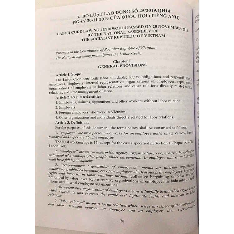 Bộ Luật Lao Động - Labor Code - Chính Sách Tăng Lương, Hệ Thống Thang Bảng Lương 2020 - Ảnh 3