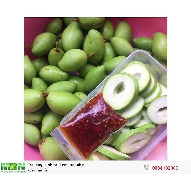 Cây Xoài bao tử, giống xoài non ăn cực ngon, giòn, cam kết 6 tháng xơi quả