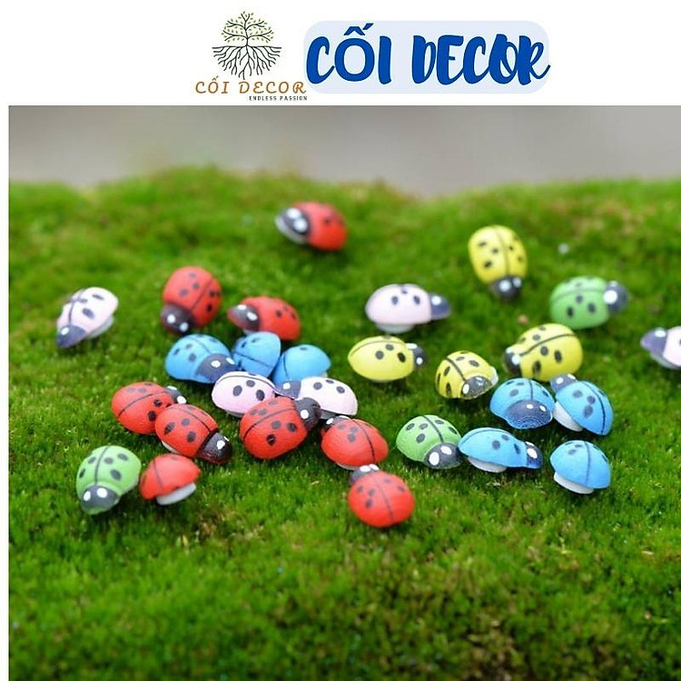 Tiểu cảnh mini ️ Combo 5 Bọ ngũ sắc nhiều màu tiểu cảnh trang trí sen đá, sân vườn, bể cá, bể terrarium