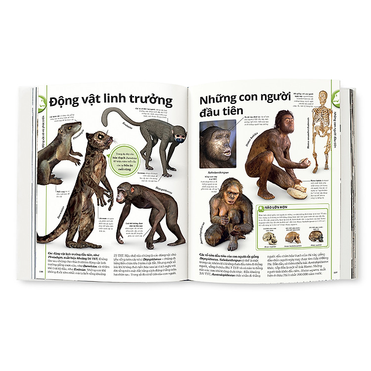 Khủng Long - Ảnh 4