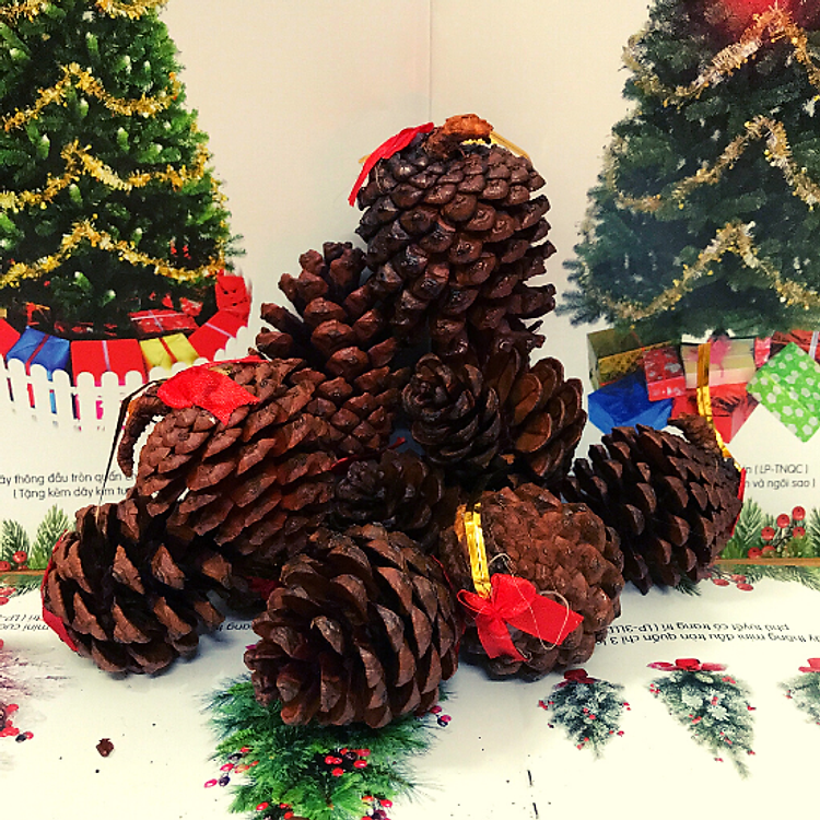 Trái thông treo cây thông trang trí Noel (10 trái)