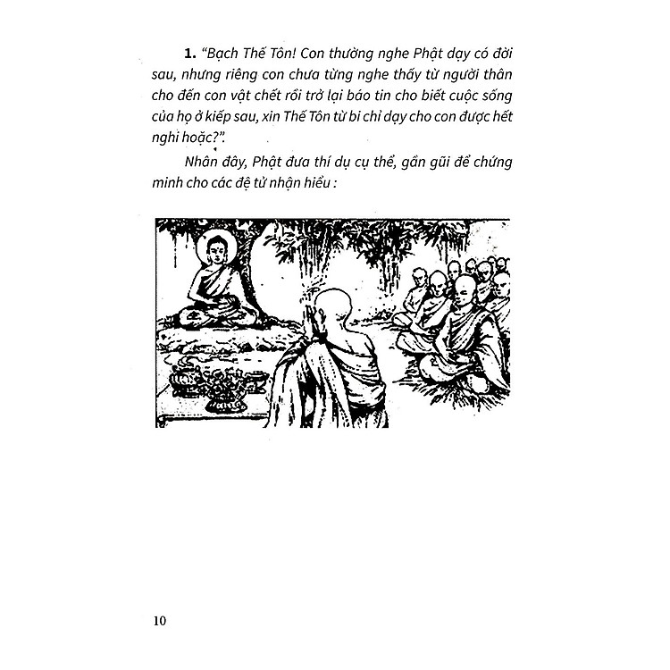 Đạo Lý Luân Hồi - Ảnh 4