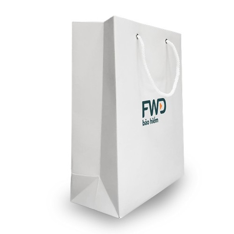 Túi Giấy Trắng - Ảnh 4