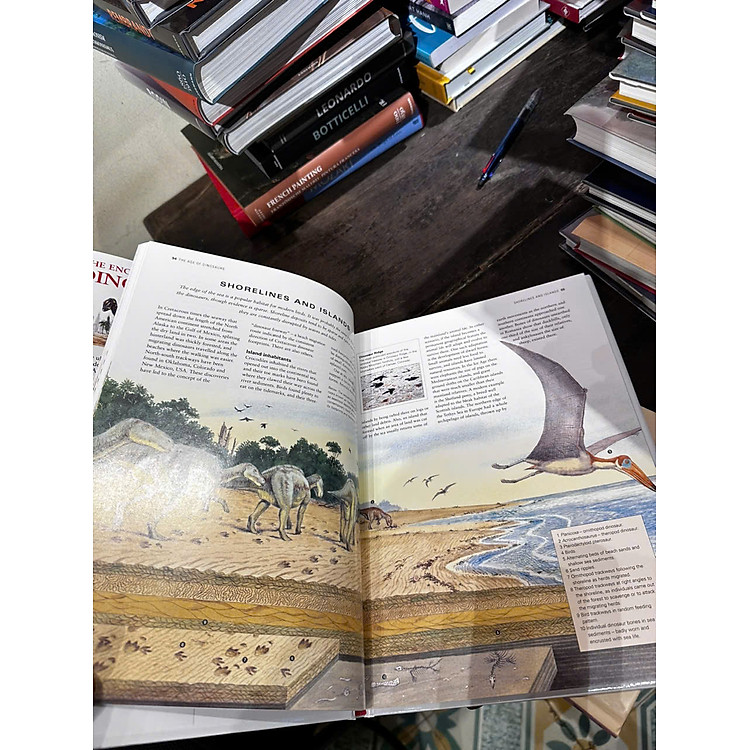 The Encyclopedia of Dinosaurs - Ảnh 5