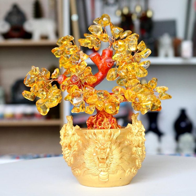 Cây tài lộc - cây đá dáng bonsai chậu hình đầu rộng NHỎ màu vàng