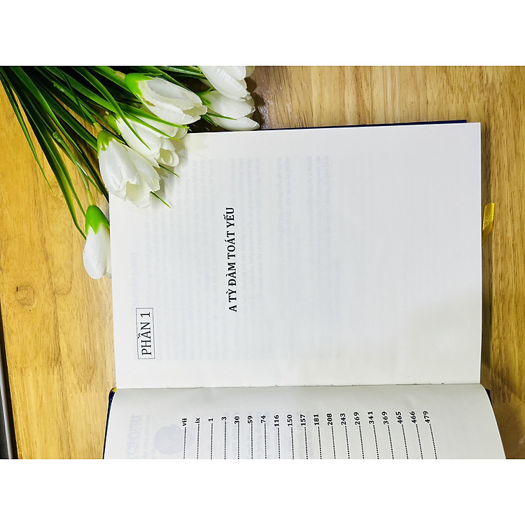 Giáo Lý A Tỳ Đàm Tập 1 - Ảnh 4