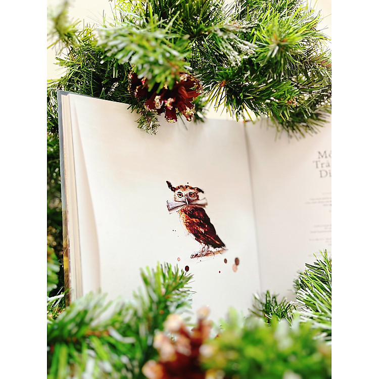 Harry Potter - Một Năm Tràn Ngập Diệu Kỳ - Ảnh 2