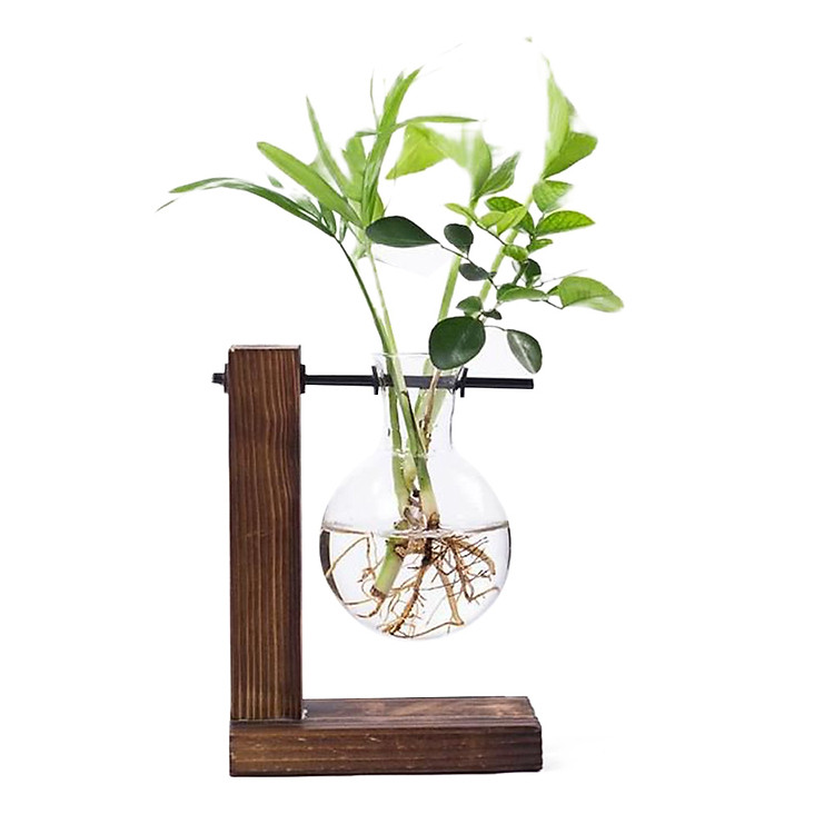 Bình Thủy Tinh Trồng Cây Cùng Kệ Gỗ Trang Trí Để Bàn