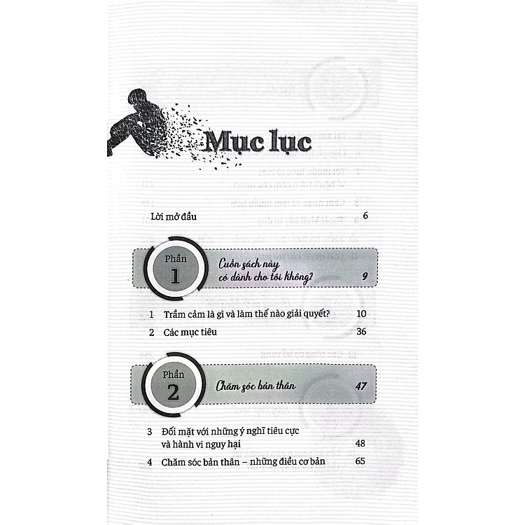 Bị Trầm Cảm Tôi Phải Làm Gì - Ảnh 2