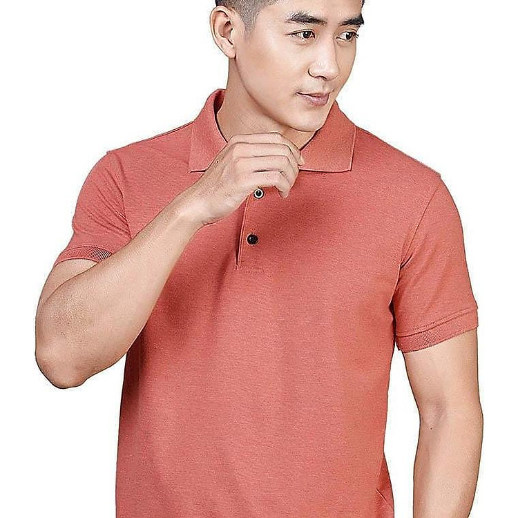 Áo thun nam polo màu nâu đất AHG021