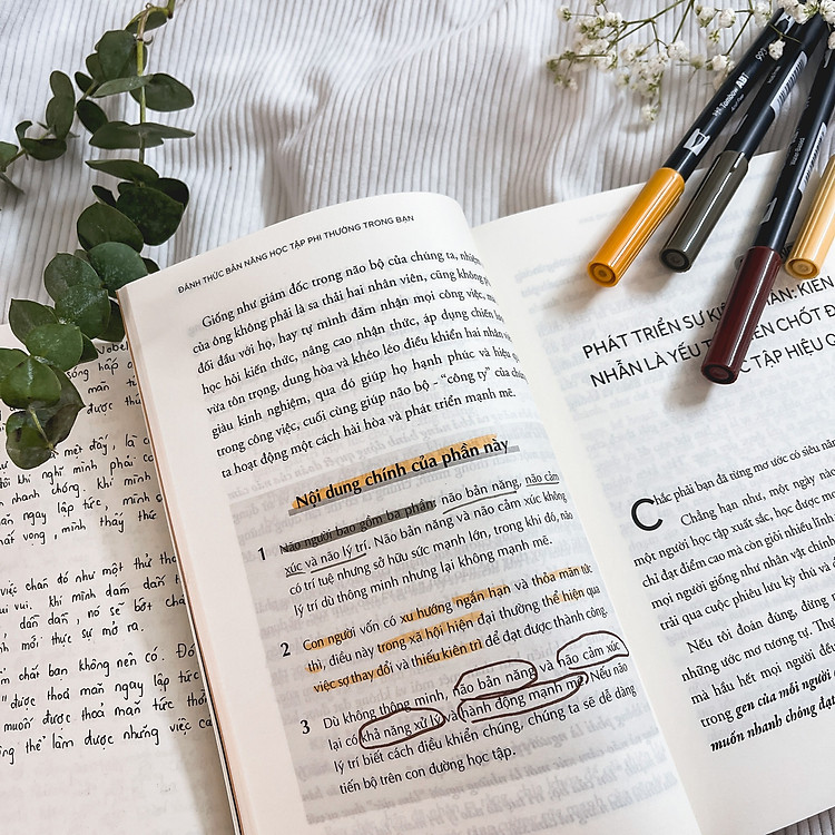 Đánh Thức Bản Năng Học Tập Phi Thường Trong Bạn - Phương Pháp Thao Túng Não Bộ Để Học Tập Nhàn Tênh - Ảnh 7