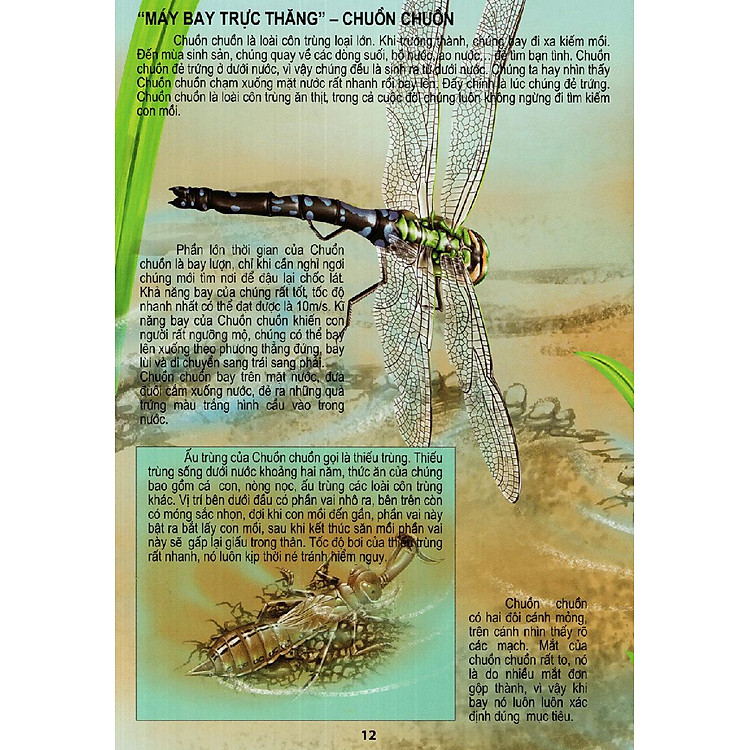 Thế Giới Động Vật Kì Thú - Ảnh 7