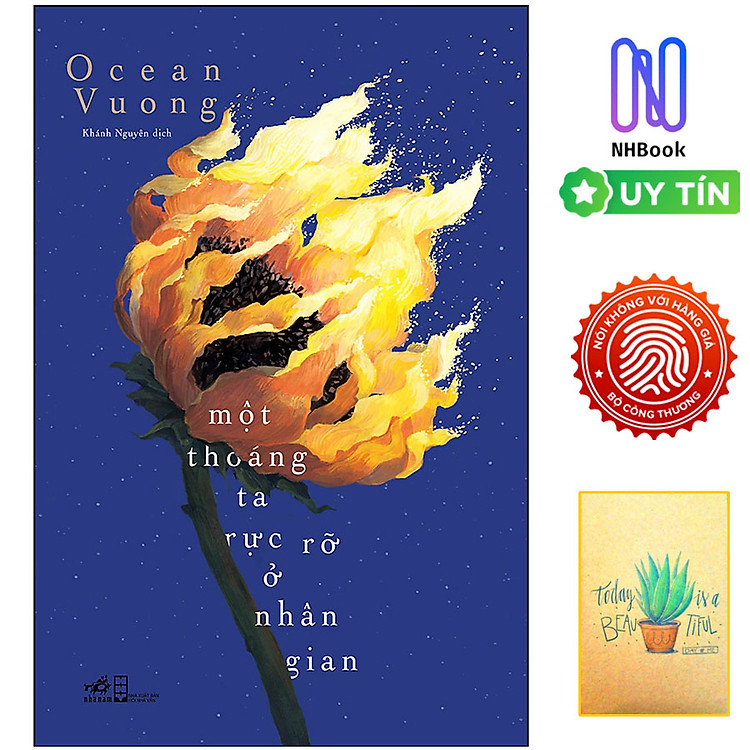 Một Thoáng Ta Rực Rỡ Ở Nhân Gian