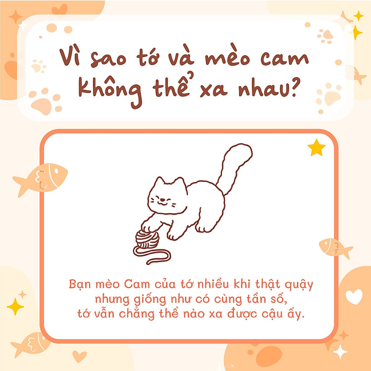 Tớ có nuôi một chú mèo Cam - Ảnh 3