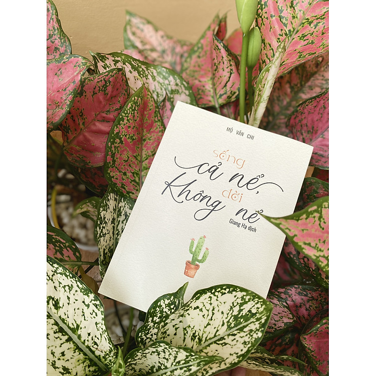 Sống Cả Nể, Đời Không Nể - Ảnh 4