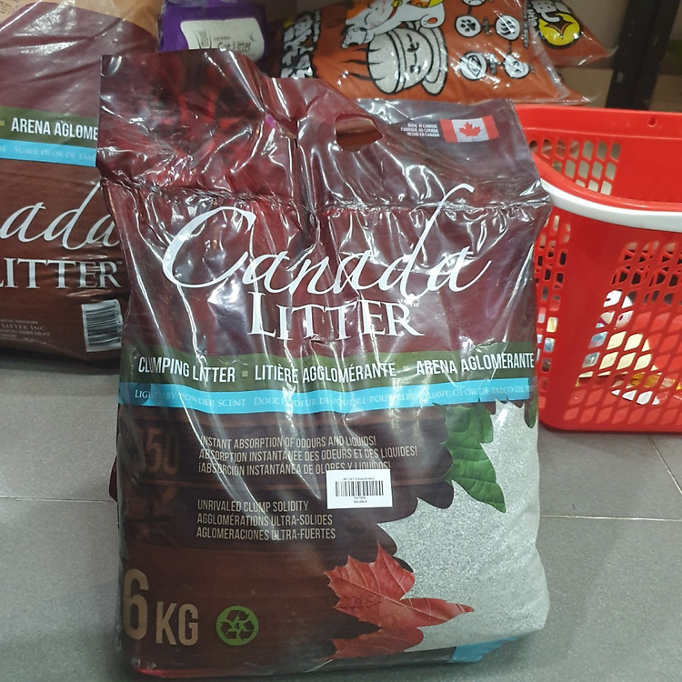 CÁT LITTER CANADA - CÁT VỆ SINH MÈO - 6KG - MÙI NGẪU NHIÊN