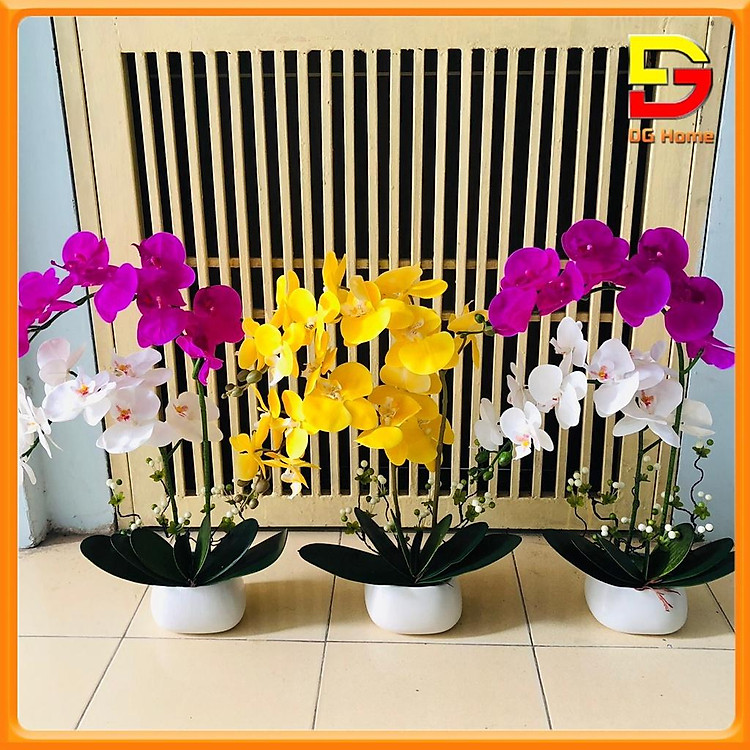 Bình Hoa Lan Hồ Điệp Cao Cấp - Chậu Hoa Giả Để Bàn Phòng Khách Cao 60cm Trang Trí Nhà Cửa Sang Trọng DH-25