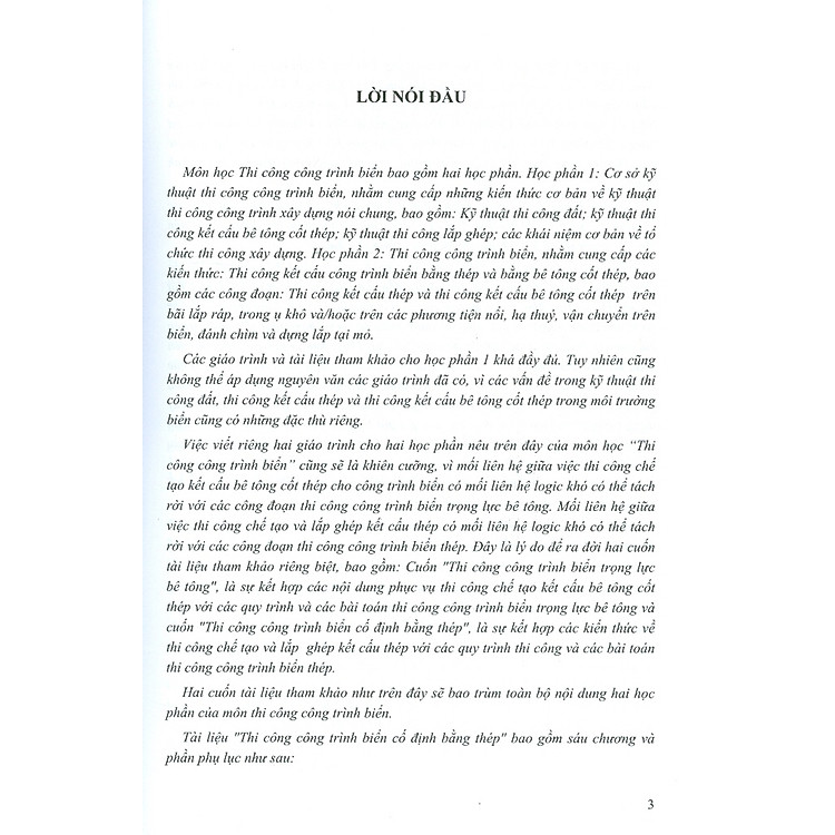 Thi Công Công Trình Biển Cố Định Bằng Thép - Ảnh 2