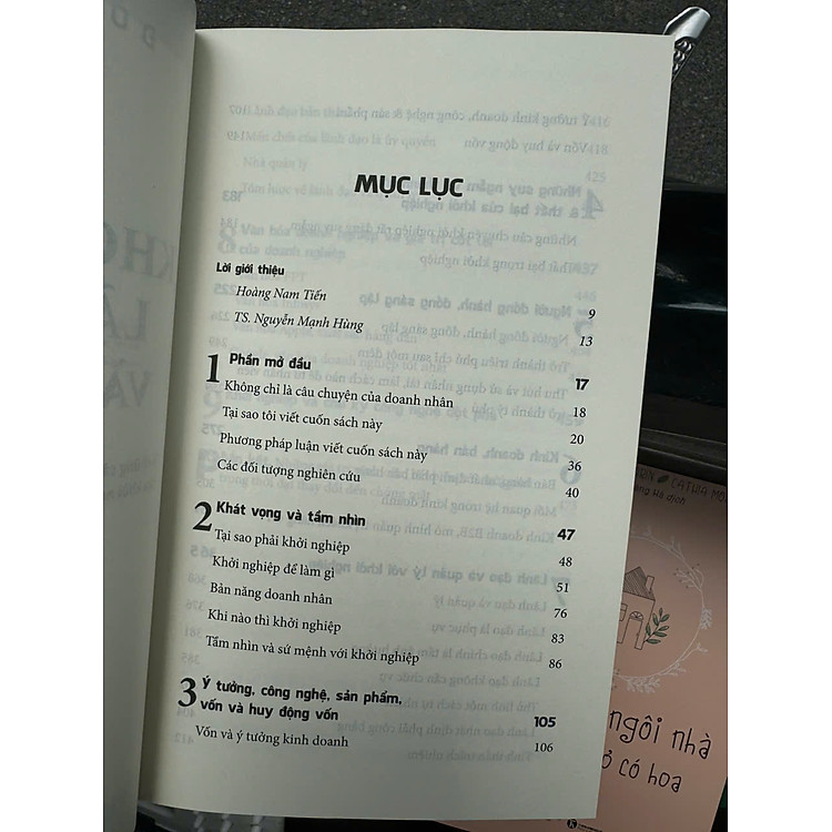 KHỞI NGHIỆP, LÃNG MẠN VÀ THỰC TẾ - Ảnh 2