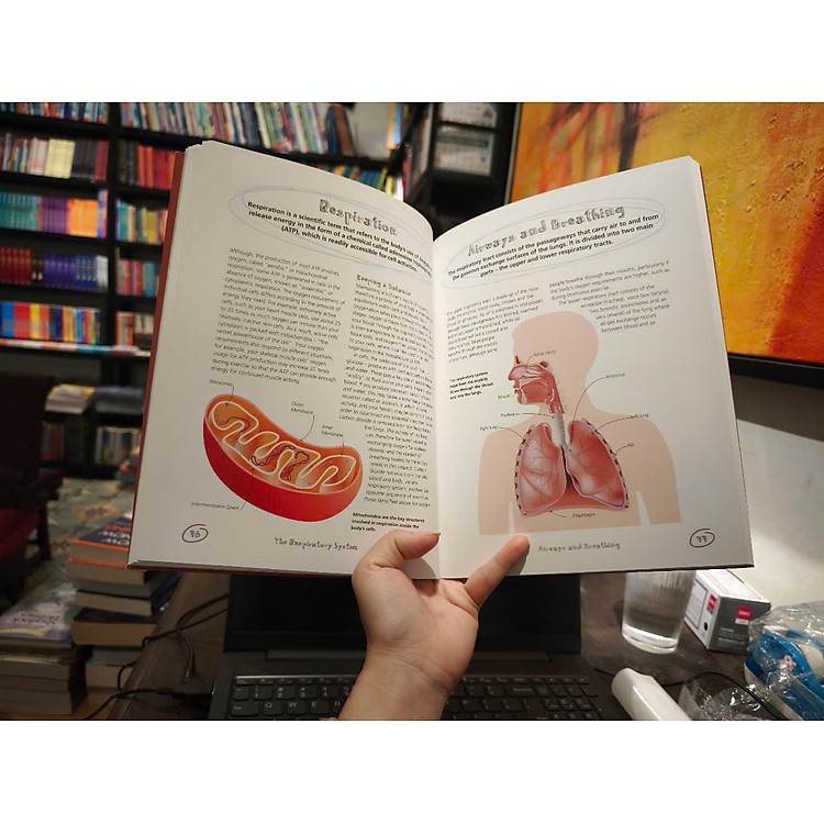 The Secret Life of the Human Body: Uncover the Hidden Workings of Your Body - Ảnh 5