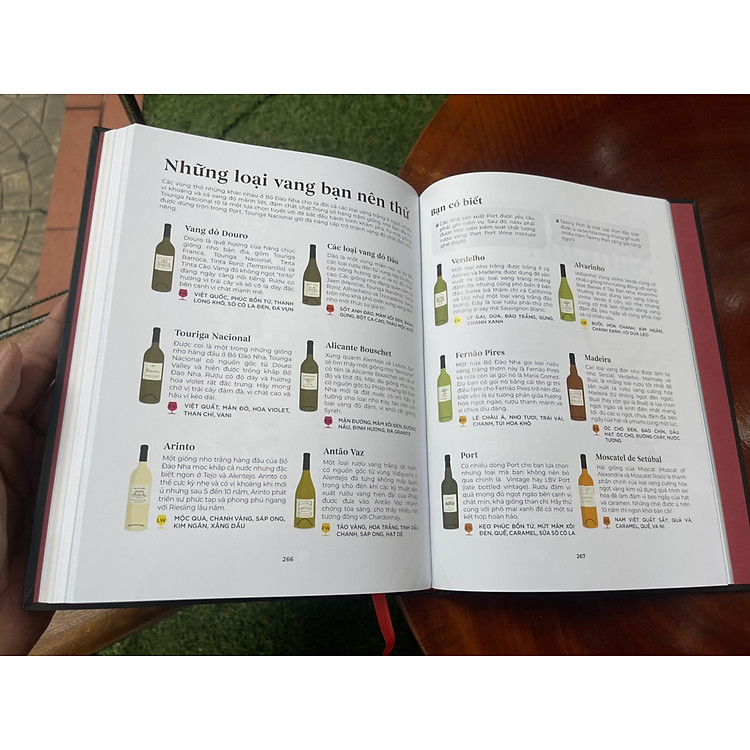 WINE FOLLY Toàn Tập (Phiên bản Magnum) - Ảnh 6