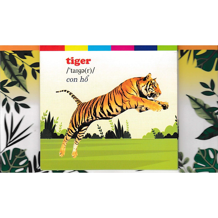 Bộ Thẻ Học Tiếng Anh - Phát Triển Trí Tuệ Cho Trẻ - Ảnh 3
