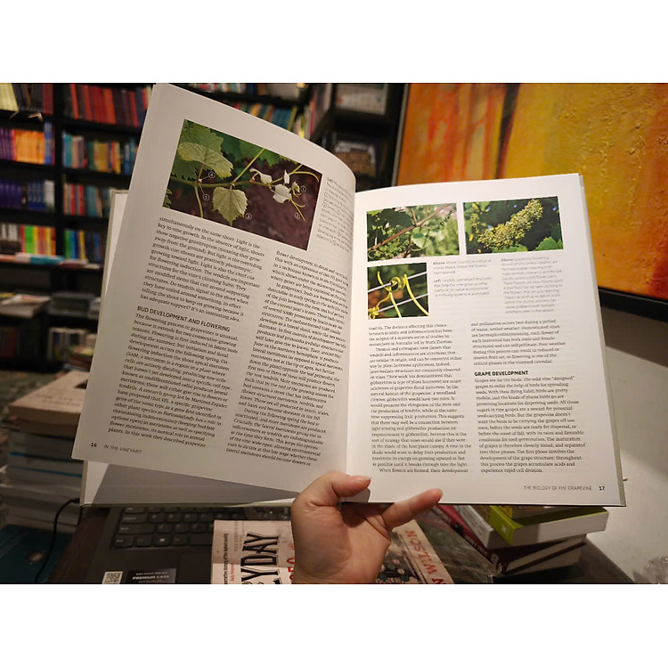 Wine Science: The Application of Science in Winemaking - Ảnh 6