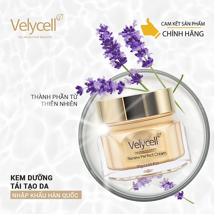 Kem dưỡng da Velycell Renew perfect cream 30ml