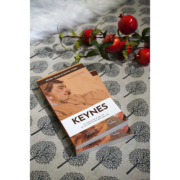 Keynes - Tư Tưởng Kinh Tế Hữu Ích Cho Nền Kinh Tế Thế Giới Ngày Nay - Ảnh 4