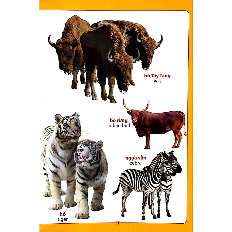 Từ Điển Bằng Hình - Loài Vật Quanh Em - Sách Song Ngữ Cho Bé - Ảnh 4