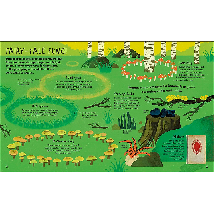 Humongous Fungus - Ảnh 3