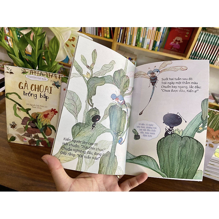 Từ những hạt mầm - Ảnh 2