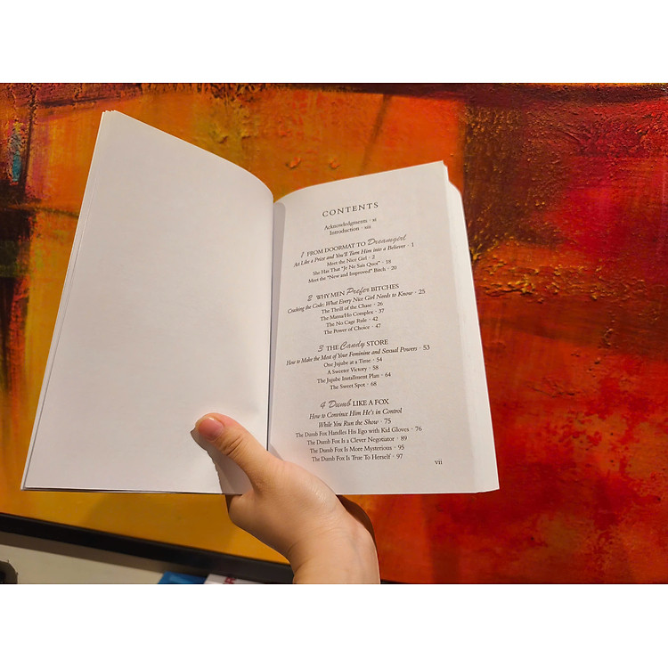 Why Men Love Bitches - A Woman's Guide to Holding Her Own in a Relationship/Marriage/Gender - Ảnh 6