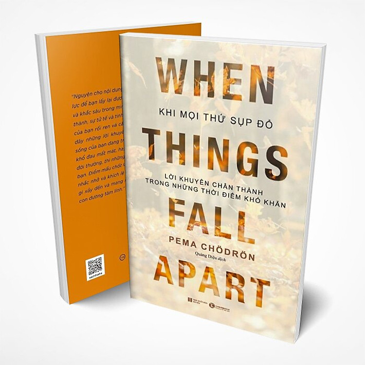 Khi Mọi Thứ Sụp Đổ - Lời Khuyên Chân Thành Trong Những Thời Điểm Khó Khăn - Ảnh 6
