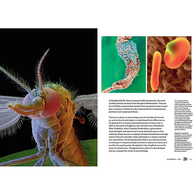 The Body - Illustrated - Ảnh 2