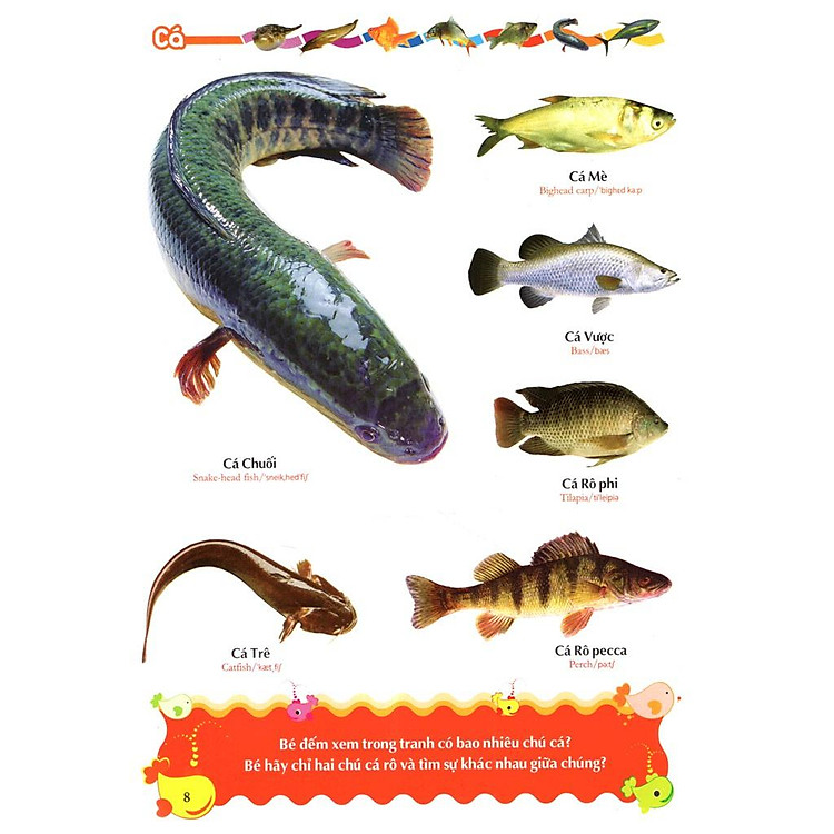 Từ Điển Tranh Về Các Con Vật - Ảnh 3