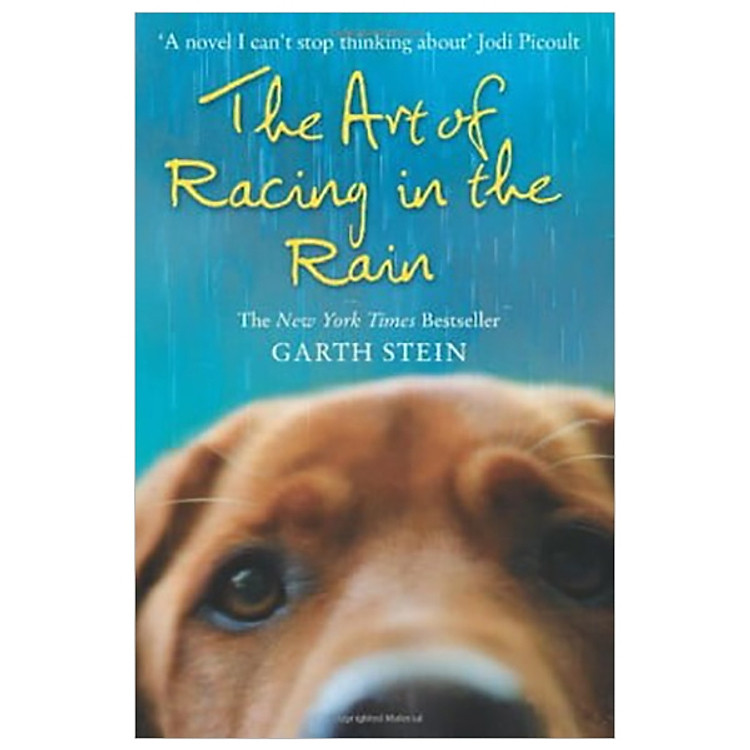 The Art of Racing in the Rain