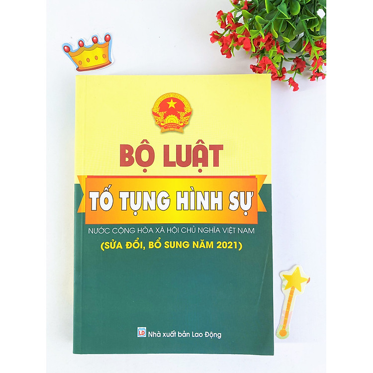 Bộ luật hình sự và Bộ luật tố tụng hình sự (Hiện hành) - Ảnh 3