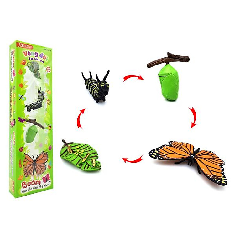 Mua Đồ Chơi Mô Hình Bướm - Firstar DK81253 Chính hãng Tiết kiệm - Hình ảnh 2