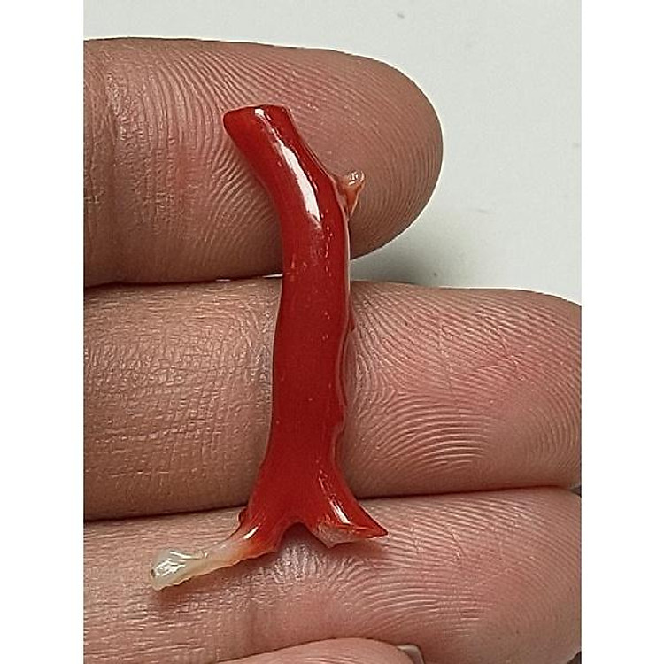 470 (3) Đá San hô đỏ (THIÊN NHIÊN)