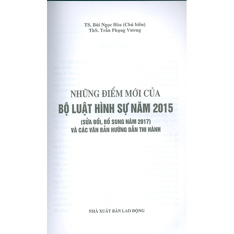 Những Điểm Mới Của Bộ Luật Hình Sự Năm 2015 (Sửa Đổi, Bổ Sung Năm 2017) - Ảnh 5