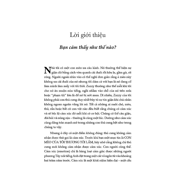 Lược Sử Của Nhân Loại Về Cảm Xúc - Ảnh 4