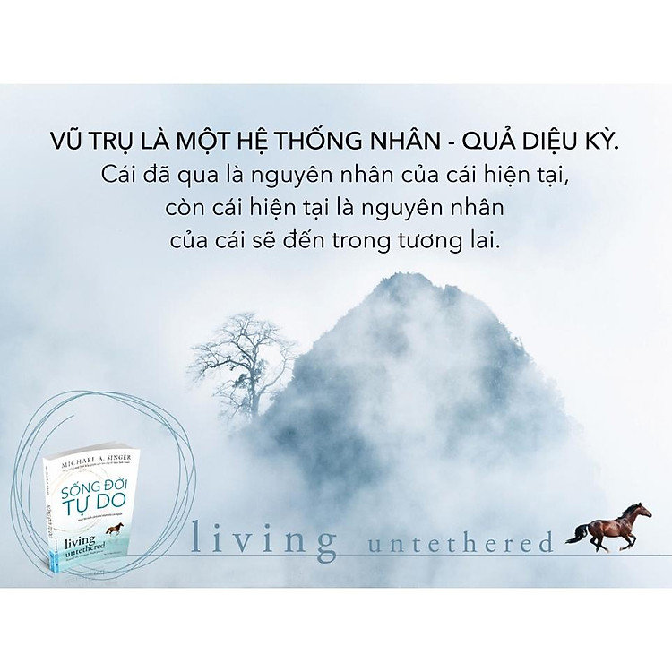 Sao Ta Làm Điều Ta Làm - Ảnh 5