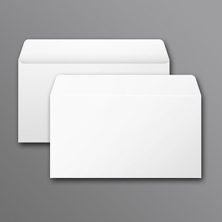 Bao Thư Trắng 12x22cm (100 cái)