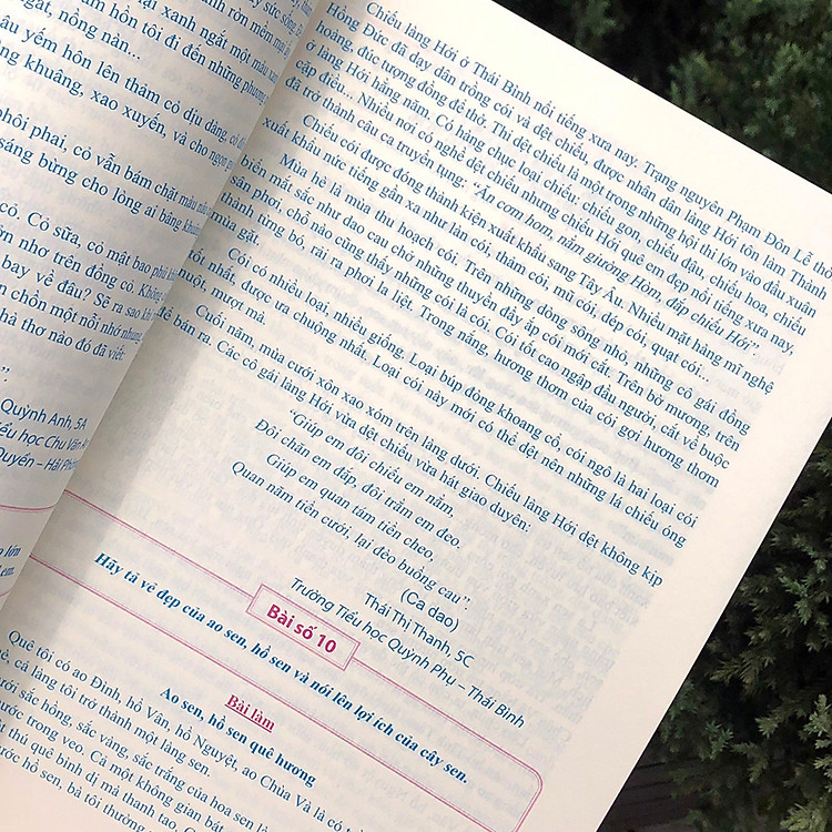 Tuyển Chọn Những Bài Văn Miêu Tả Lớp 5 - Ảnh 4