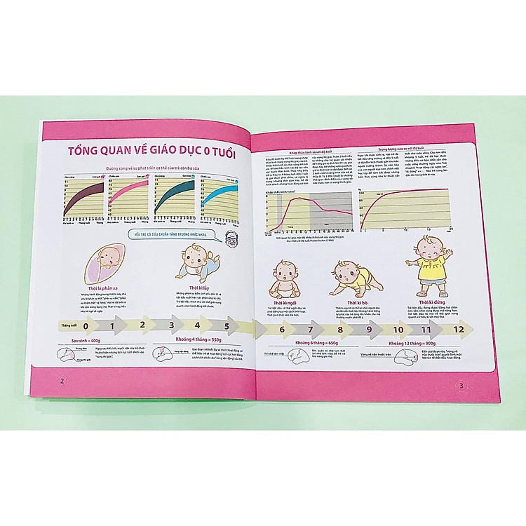 Dạy Con Kiểu Nhật - Giai Đoạn 0 1 2 Tuổi - Ảnh 4